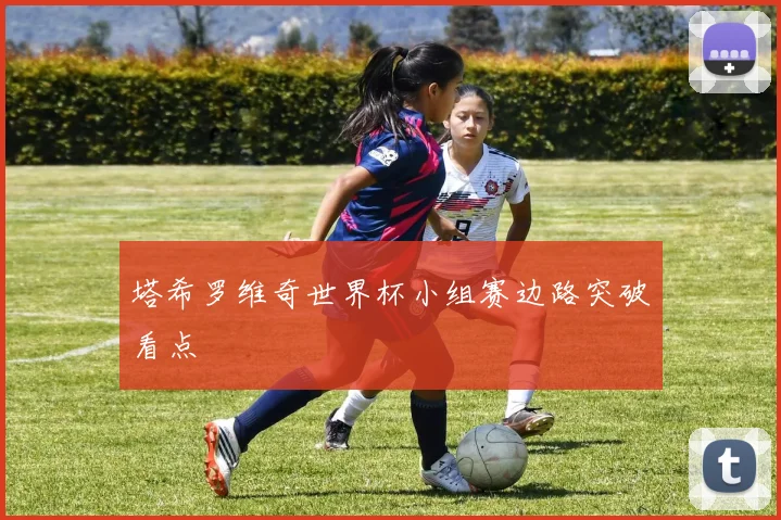 塔希罗维奇世界杯小组赛边路突破看点