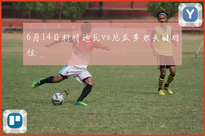 6月14日科特迪瓦vs厄瓜多尔关键对位