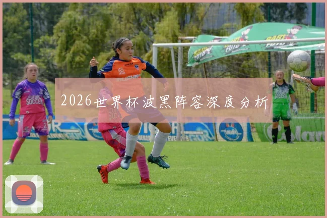 2026世界杯波黑阵容深度分析
