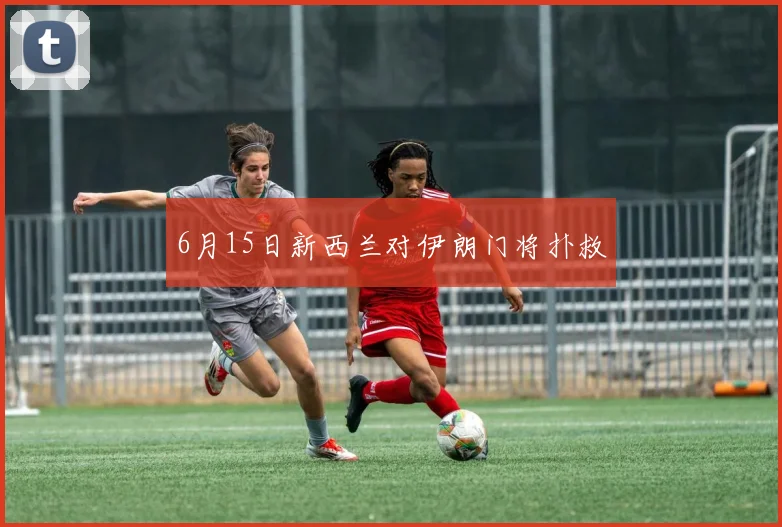 6月15日新西兰对伊朗门将扑救