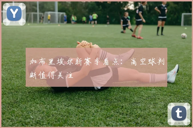 加布里埃尔新赛季看点：高空球判断值得关注